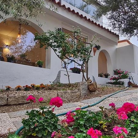 Il Salice B&B Olbia Bagian luar foto
